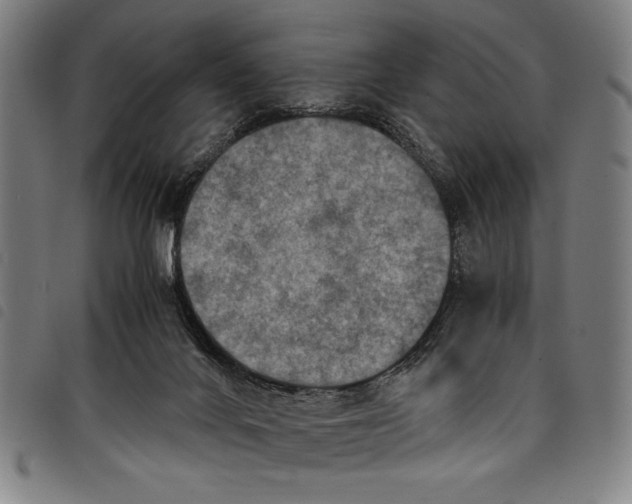 X0000097760024200804041135