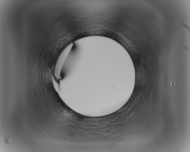 X0000097760025200804041135