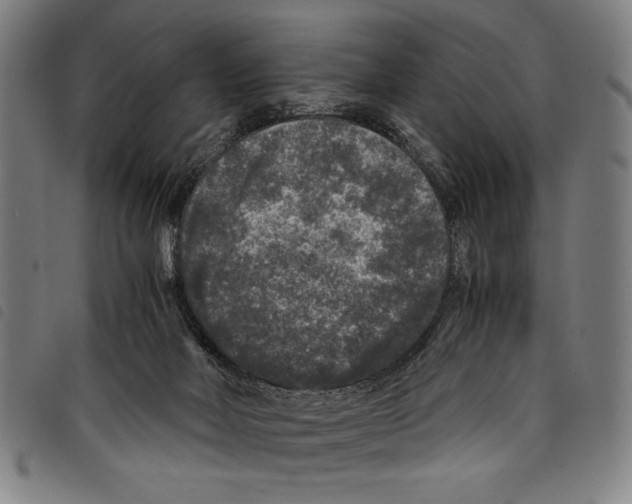 X0000097760026200804041135