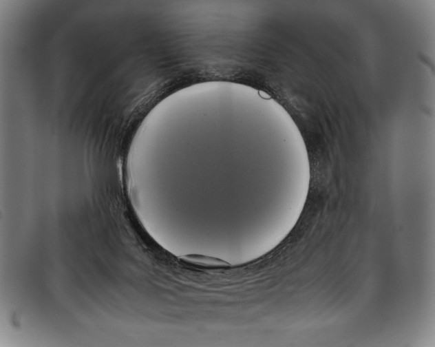 X0000097760027200804041135