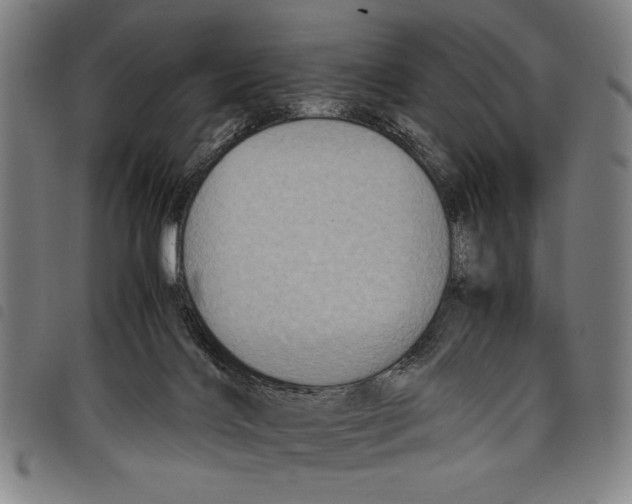 X0000097760028200804041135