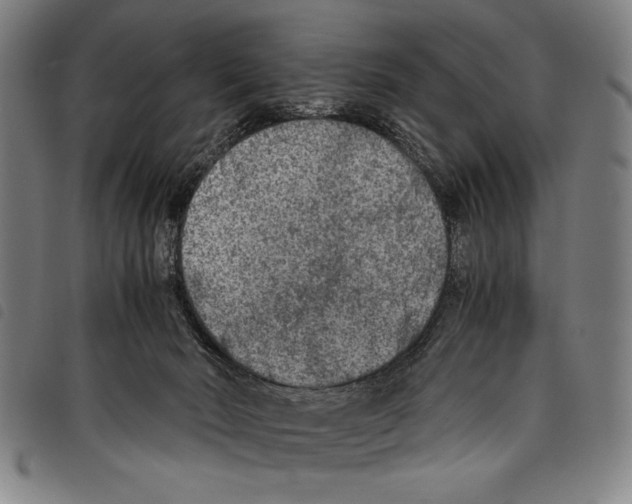 X0000097760030200804041135