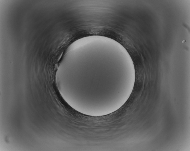 X0000097760031200804041135