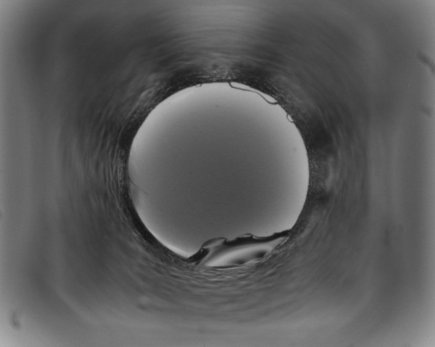 X0000097760035200804041135