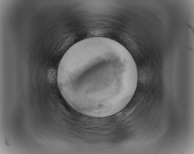 X0000097760036200804041135