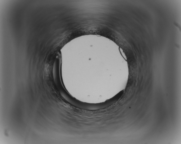 X0000097760037200804041135