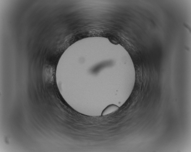 X0000097760038200804041135