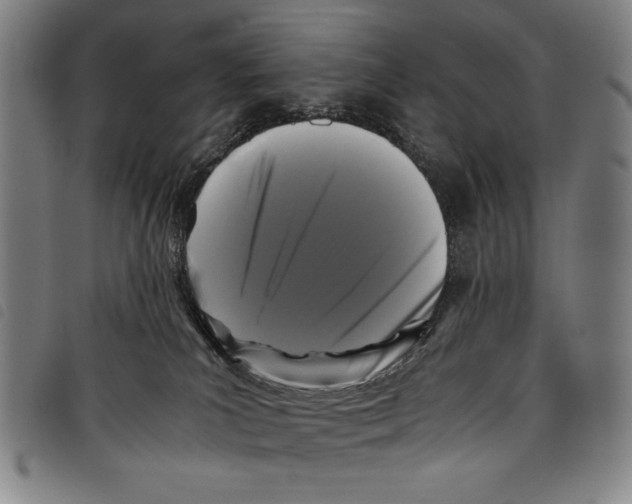 X0000097760039200804041135