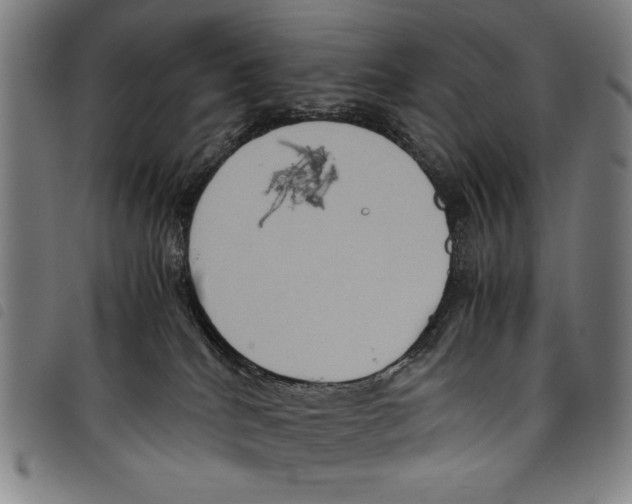 X0000097760040200804041135