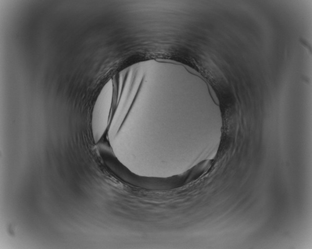 X0000097760041200804041135