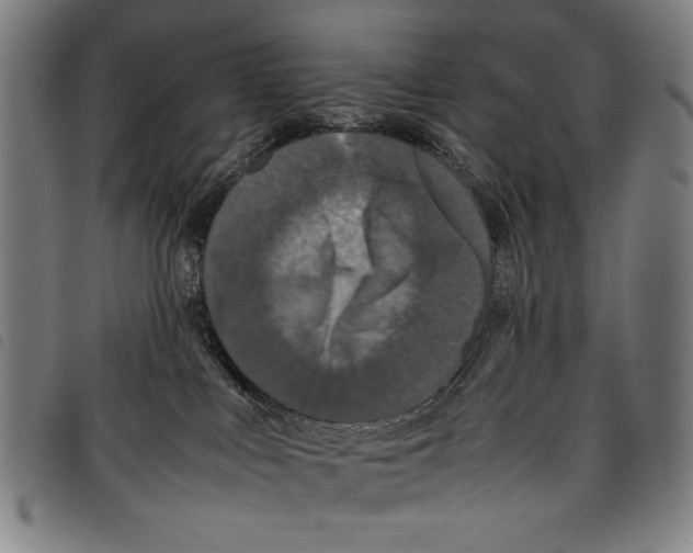 X0000097760043200804041135