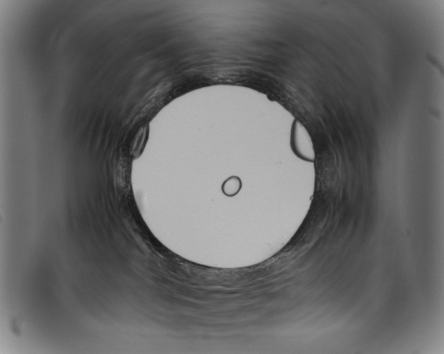 X0000097760044200804041135