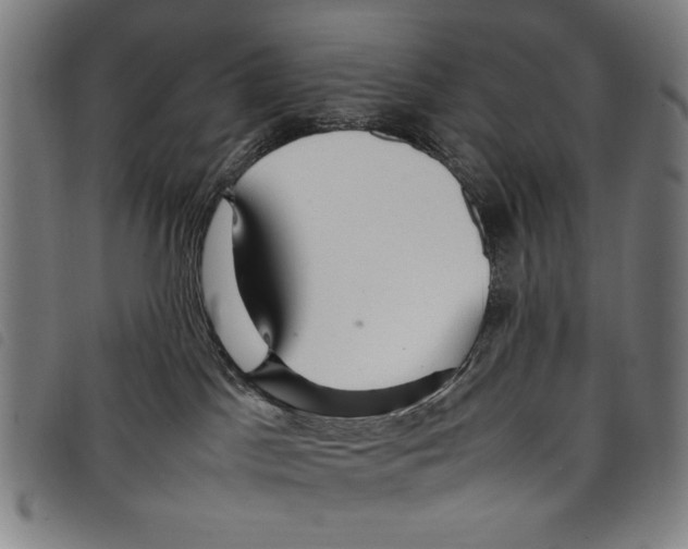 X0000097760045200804041135