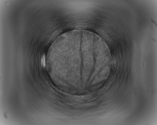 X0000097760046200804041135