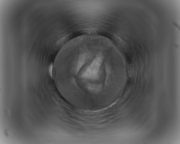 X0000097760047200804041135