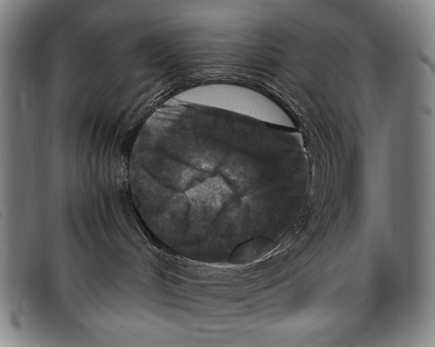 X0000097760048200804041135