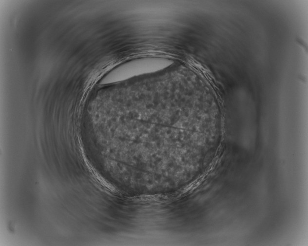 X0000097760049200804041134