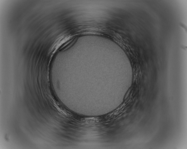 X0000097760050200804041134