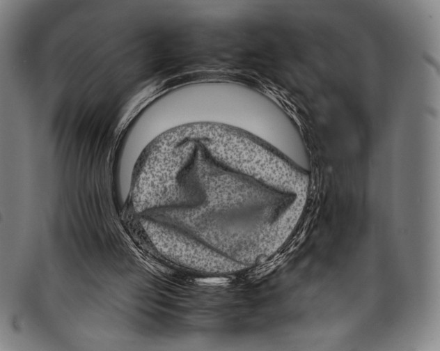 X0000097760053200804041134