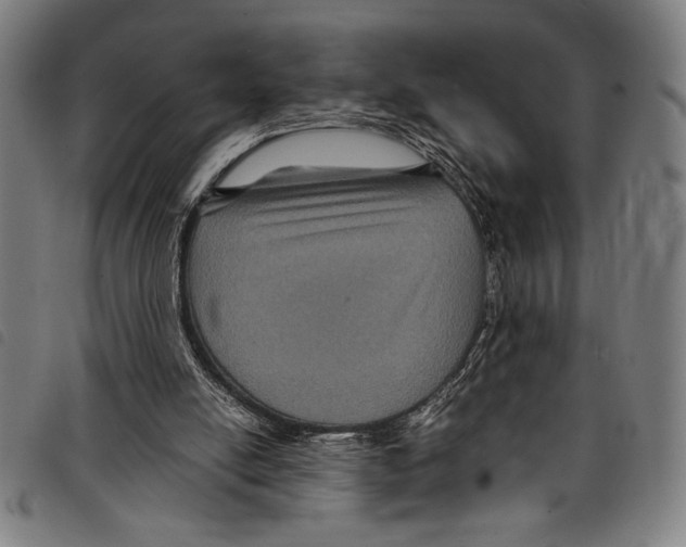 X0000097760054200804041134