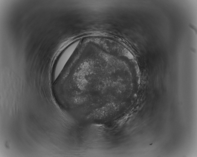 X0000097760055200804041134