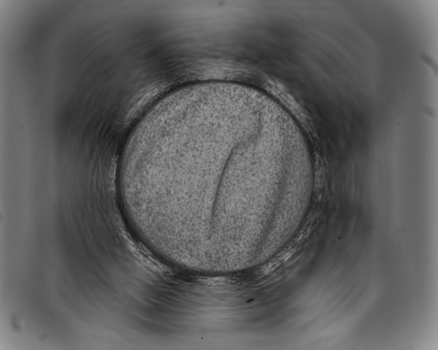 X0000097760058200804041134