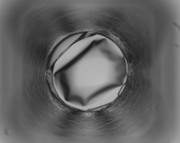 X0000097760060200804041135