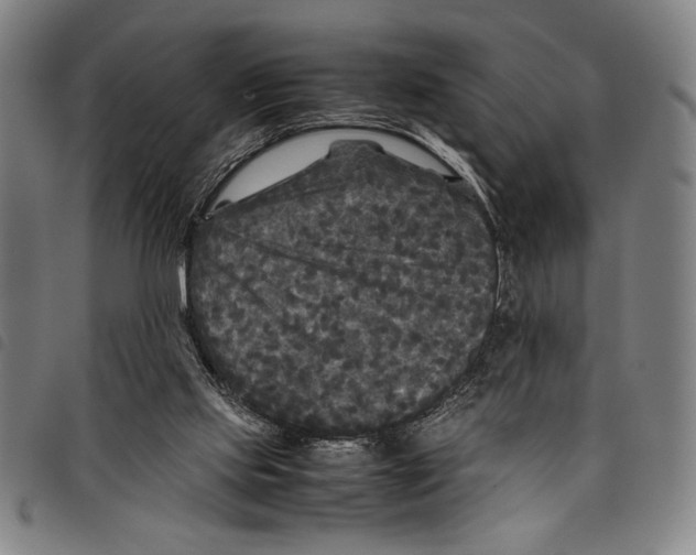 X0000097760061200804041135