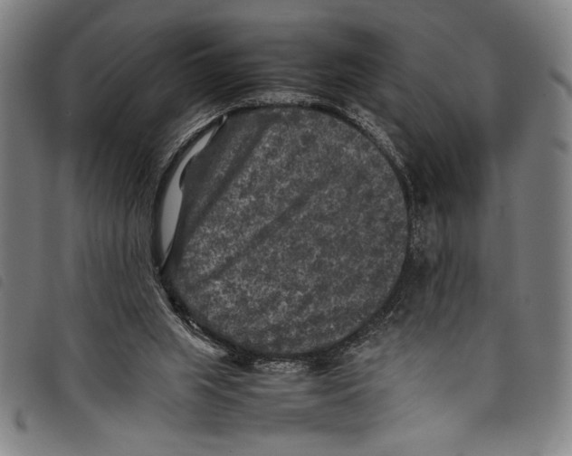 X0000097760063200804041135