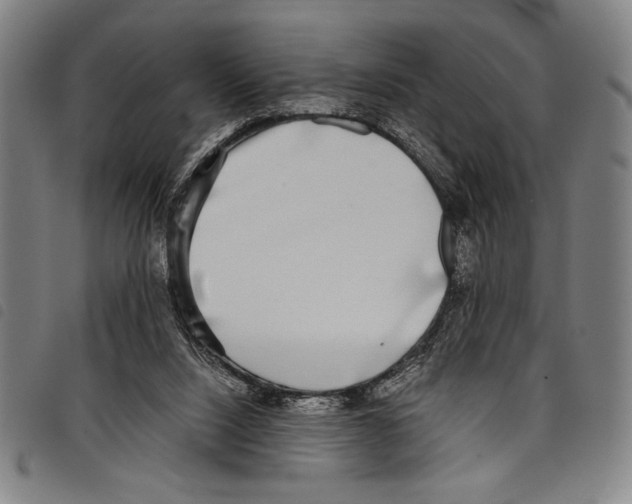 X0000097760064200804041135