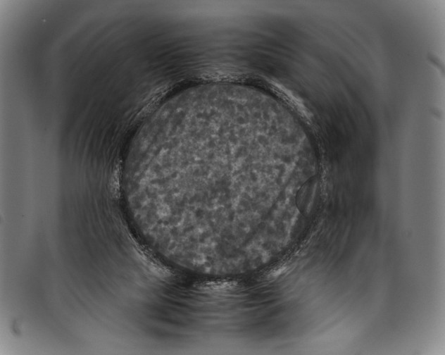 X0000097760065200804041135