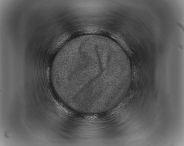 X0000097760066200804041135