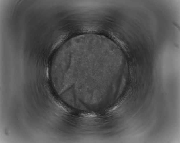 X0000097760067200804041135