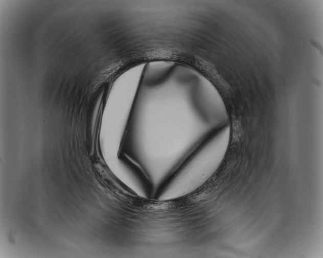 X0000097760068200804041135