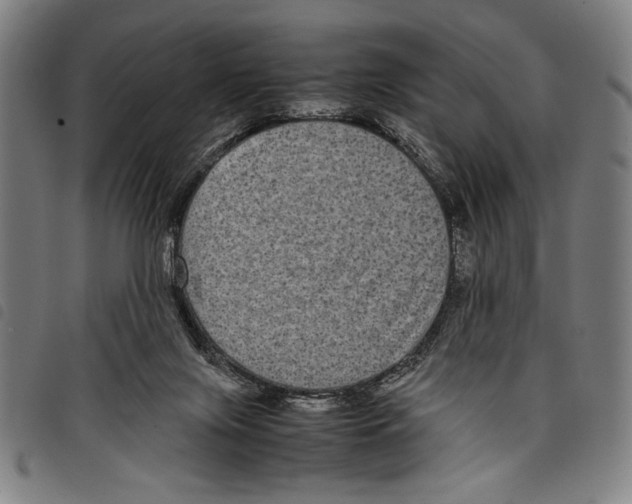 X0000097760071200804041135