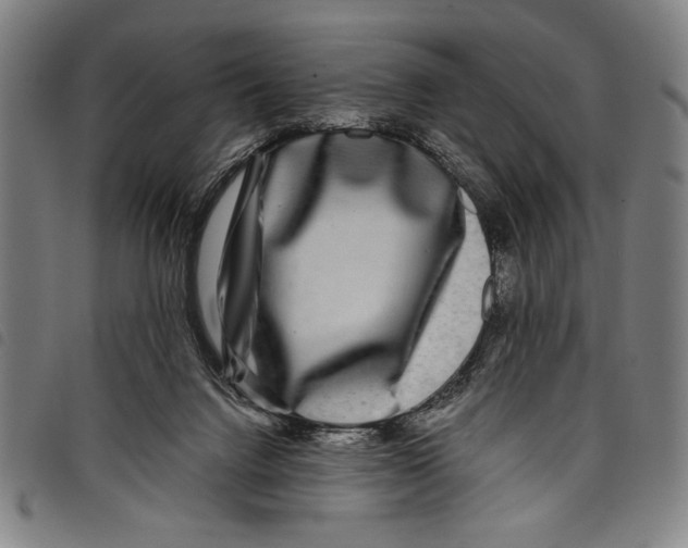 X0000097760072200804041135