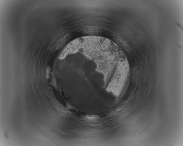 X0000097760073200804041135