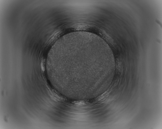 X0000097760074200804041135