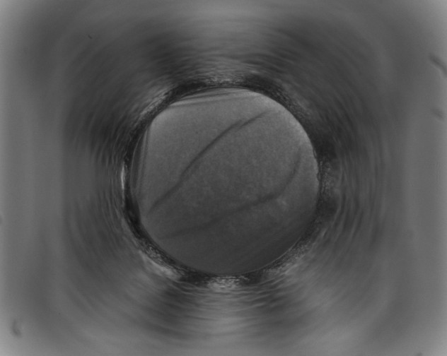 X0000097760076200804041135