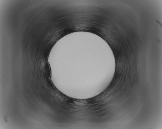 X0000097760079200804041135