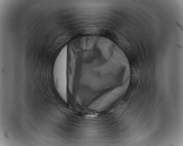 X0000097760080200804041135