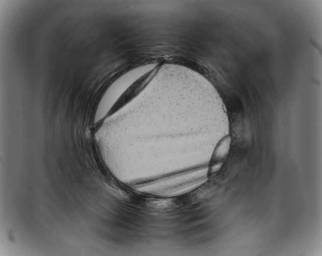 X0000097760081200804041135