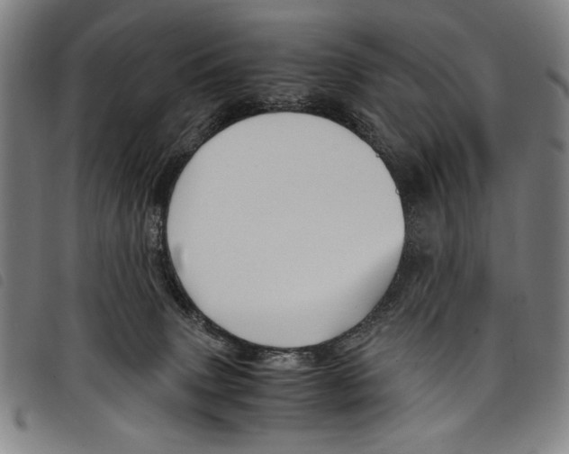 X0000097760083200804041135