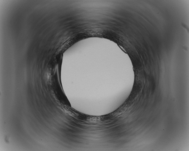 X0000097760084200804041135