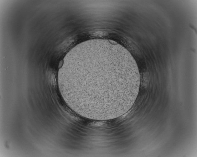 X0000097760086200804041135