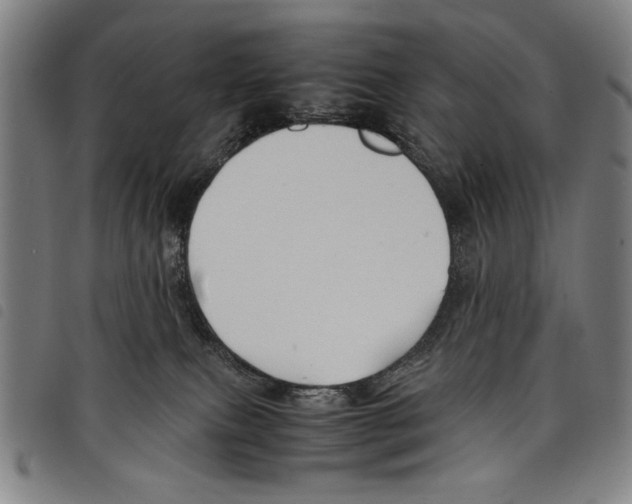 X0000097760087200804041135