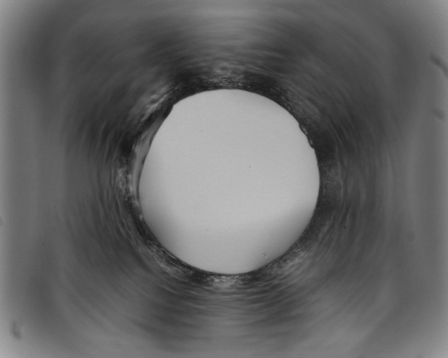 X0000097760088200804041135