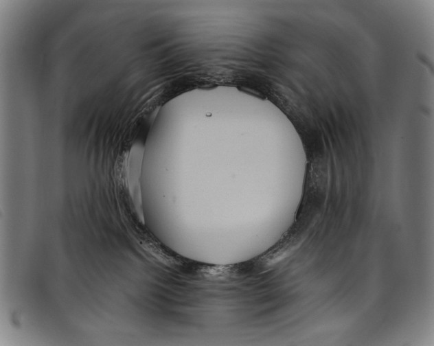 X0000097760092200804041135