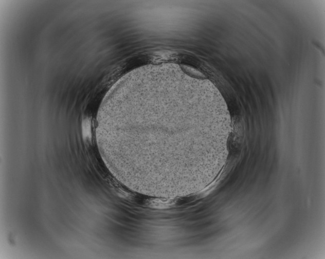 X0000097760094200804041135