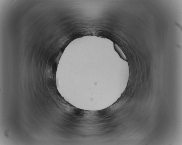 X0000097760096200804041135